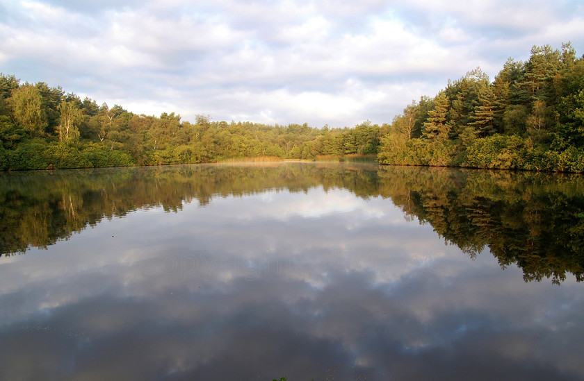 Reflect0014 
 KONICA MINOLTA DIGITAL CAMERA 
 Keywords: Woods, Bagshot Heath, Rapley Lake, Surrey, UK, EU