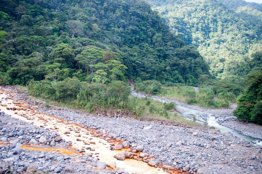 DSC0154 
 Two parallel rivers: one with yellow, other with clear water, Costa Rica 
 Keywords: Two rivers, yellow, clear water, Costa Rica, Central America, Pacific Coast