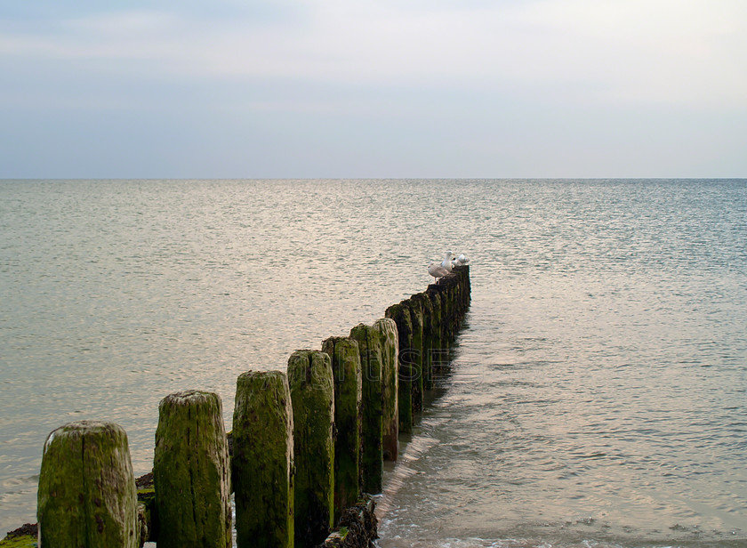 Groin sea view 
 Groins at Littlehampton West beach, West Sussex 
 Keywords: Groins, Seaside, Beach, Littlehampton, West Sussex