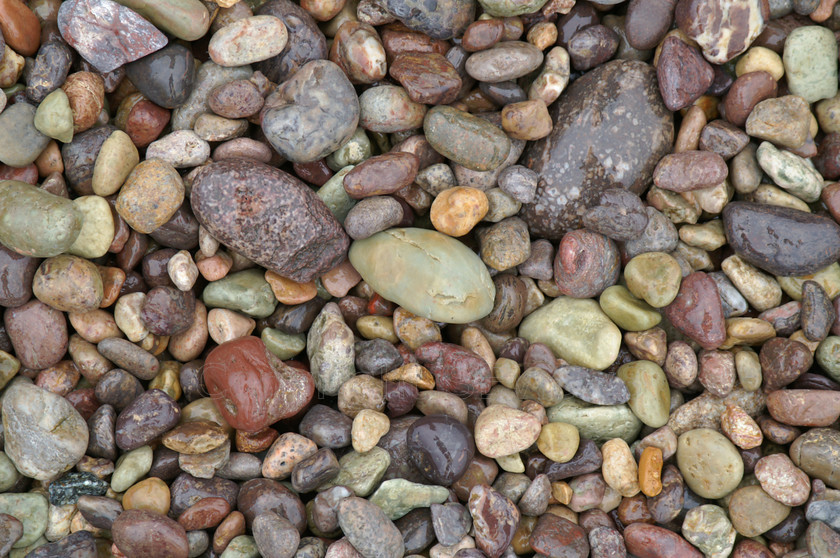 Jers pebbles 
 Colourful wet pebbles on Jersey beach 
 Keywords: wet pebbles, beach, seaside, Jersey