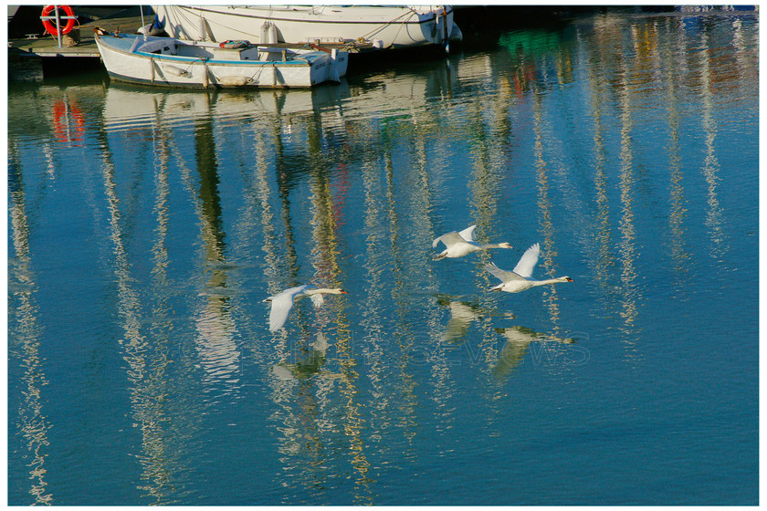 Mast reflection1234 p 
 SONY DSC