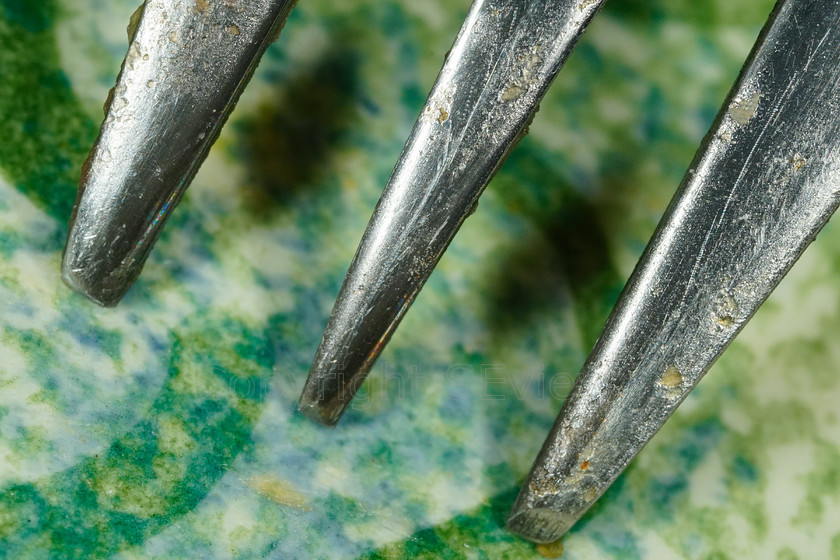 Fork DSC3525 
 Fork closeup 
 Keywords: Fork, scatches, food debris, rust