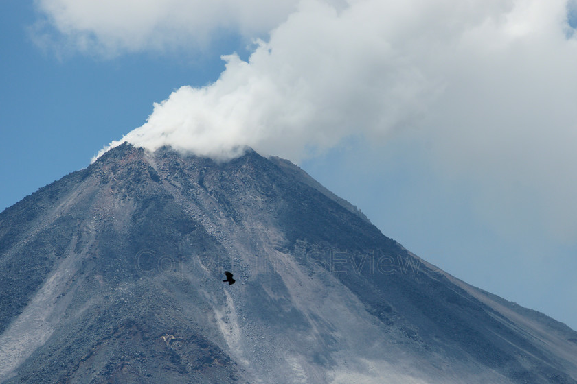 Arenal Volcano2 
 Arenal Volcano & small silhouette of soaring eagle 
 Keywords: Volcano, plumes, Arenal, Costa Rica, Central America, Pacific Coast