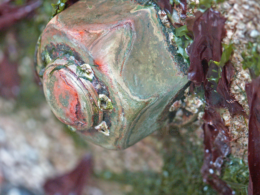 Corroded nut on groin multicoloured 
 Corroded and eroded nut on groin with multicoloured rust patterns and seaweed 
 Keywords: rusty nut, corrosion, seaweed, patterns, multi-coloured, groins, decay, erosion, corrosion, Climping beach, Littlehampton, West Sussex, UK