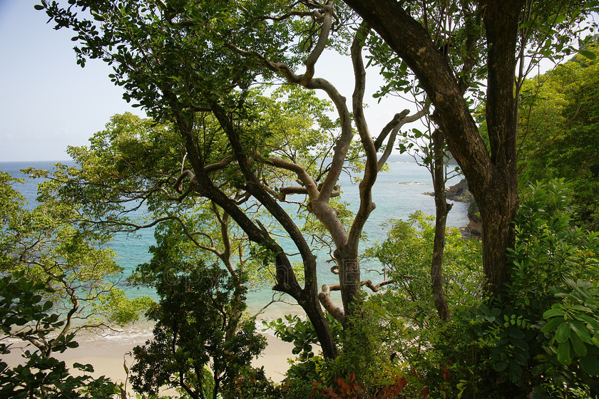 Cap Maison4612 
 SONY DSC 
 Keywords: Cap Maison, near Rodney Bay, St Lucia