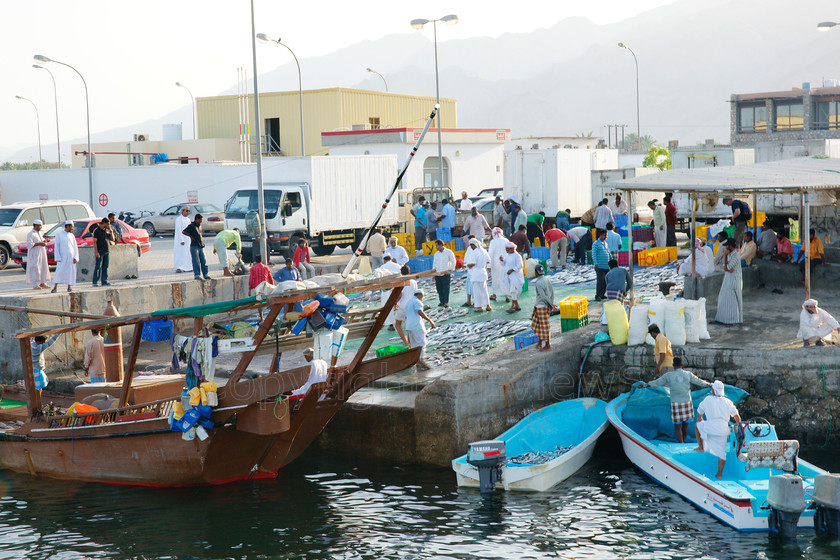 Fish market Khasab9187 
 Fishermen at fish market, Khasab 
 Keywords: Fish market, Khasab, Oman