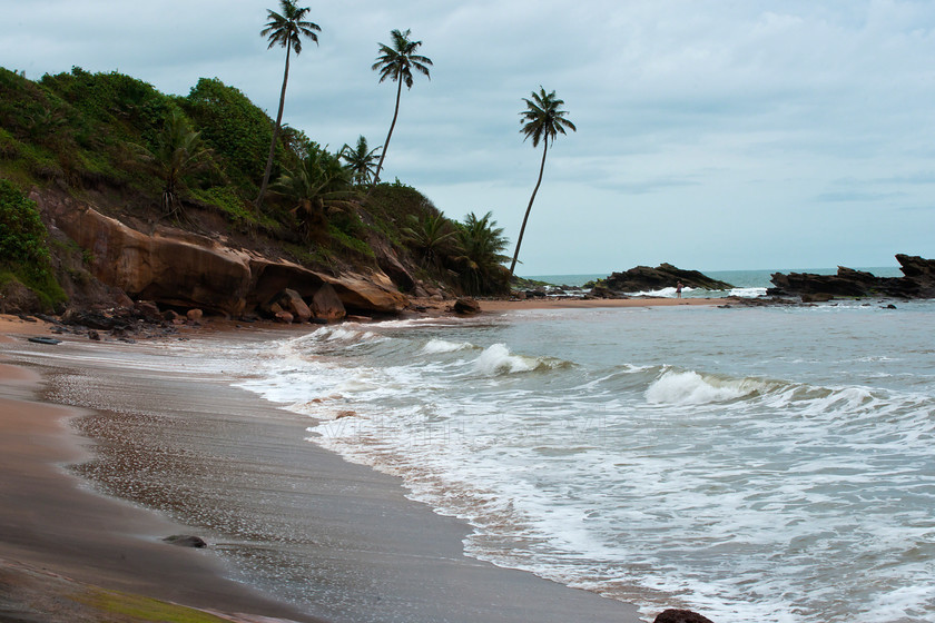 waves & coconut trees 
 Human figure,waves & coconut trees on beach, Takoradi, Ghana West Africa 
 Keywords: coconut trees, beach, atlantic ocean, waves, Takoradi, Ghana, West Africa