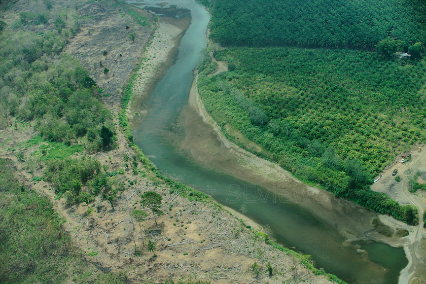 meandering river Costa RicaDSC6202 
 Aerial view of Pacific Coast, Costa Rica 
 Keywords: Costa Rica, Pacific Coast, Aerial view, meandering river, cut down rainforest, deforestation, pineapple plantation