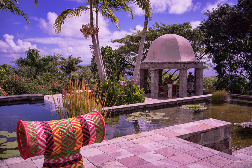 Golden Rock Plantation DSC0896 
 Poll at Golden Rock Plantation Inn, Gingerland, Nevis 
 Keywords: St Kitts & Nevis, Nevis, Caribbean