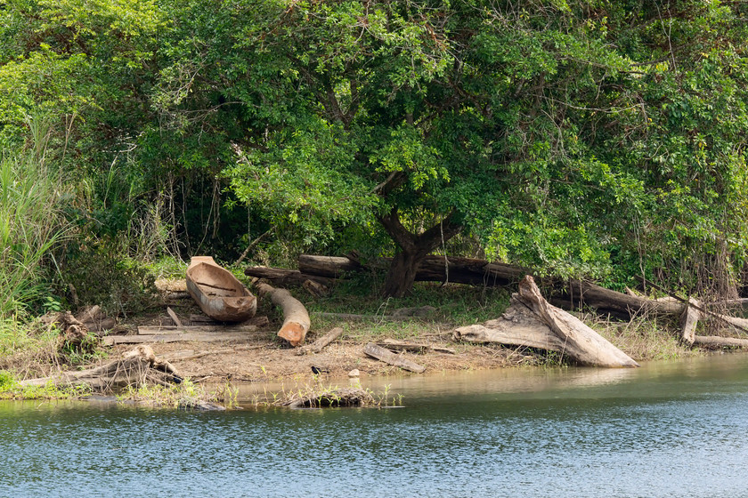 Tree trunk canoe DSC3764 
 Tree trunk canoe, red hardwood on river Chagres verges 
 Keywords: Red hardwood, Panama