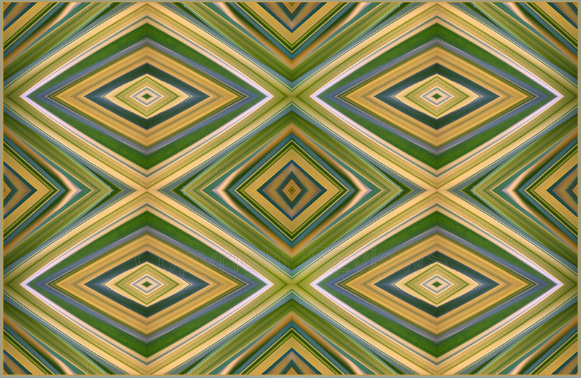 Iris leaf X4 pattern 
 Repeated duplication of iris leaf pattern forming symmetrical image 
 Keywords: Iris leaf patterns, symmetry