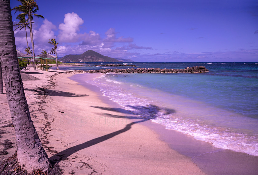 Nisbet Plantation beach0914 
 White sand beach on Atlantic coast, Nisbet Plantation Inn, Nevis 
 Keywords: St Kitts & Nevis, Nevis, Caribbean, Nisbet Plantation Inn, Atlantic beach, surf, bar, yellow sand