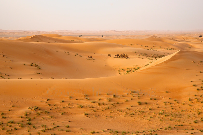 Al Ain balloon8675 
 Desert and dunes view around Al Ain, UAE 
 Keywords: Al Ain, desert, dunes, UAE