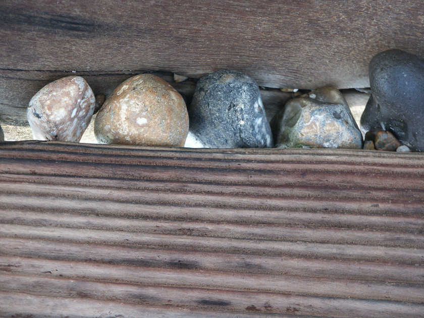 WoodStones40 
 Pebbles stuck in wood on grions in Littlehampton, West Sussex 
 Keywords: pebbles, stuck in wood, seaside, Sea, Littlehampton, West Sussex