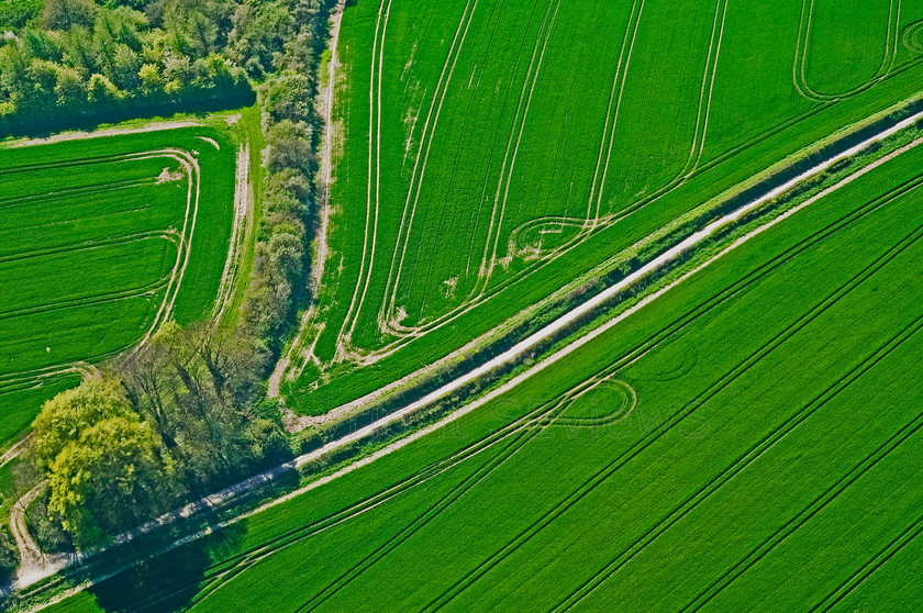 tractor tyre patterns in green fields 
 Aerial view of tractor tyre patterns in green fields, Sussex 
 Keywords: Aerial view, tractor tyre patterns, fields, Sussex